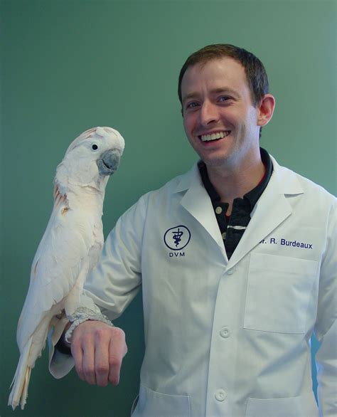 specialized care for avian & exotic pets